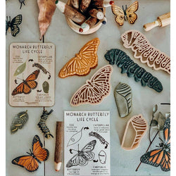 Timber Kids Monarch Butterfly Anatomy Timber Tile