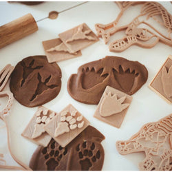 Timber Kids Dinosaur Footprint Eco Stamps