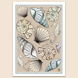 She sells sea shells Art Print
